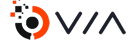ViaSRV